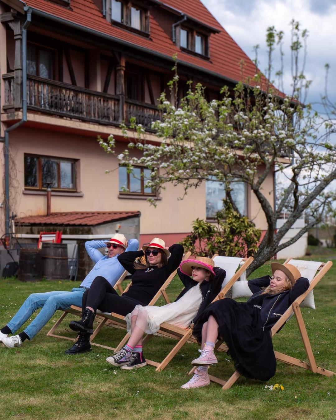Hotel Restaurant Verger Des Chateaux, Route Des Vins Haut-Koenigsbourg Dieffenthal Ngoại thất bức ảnh