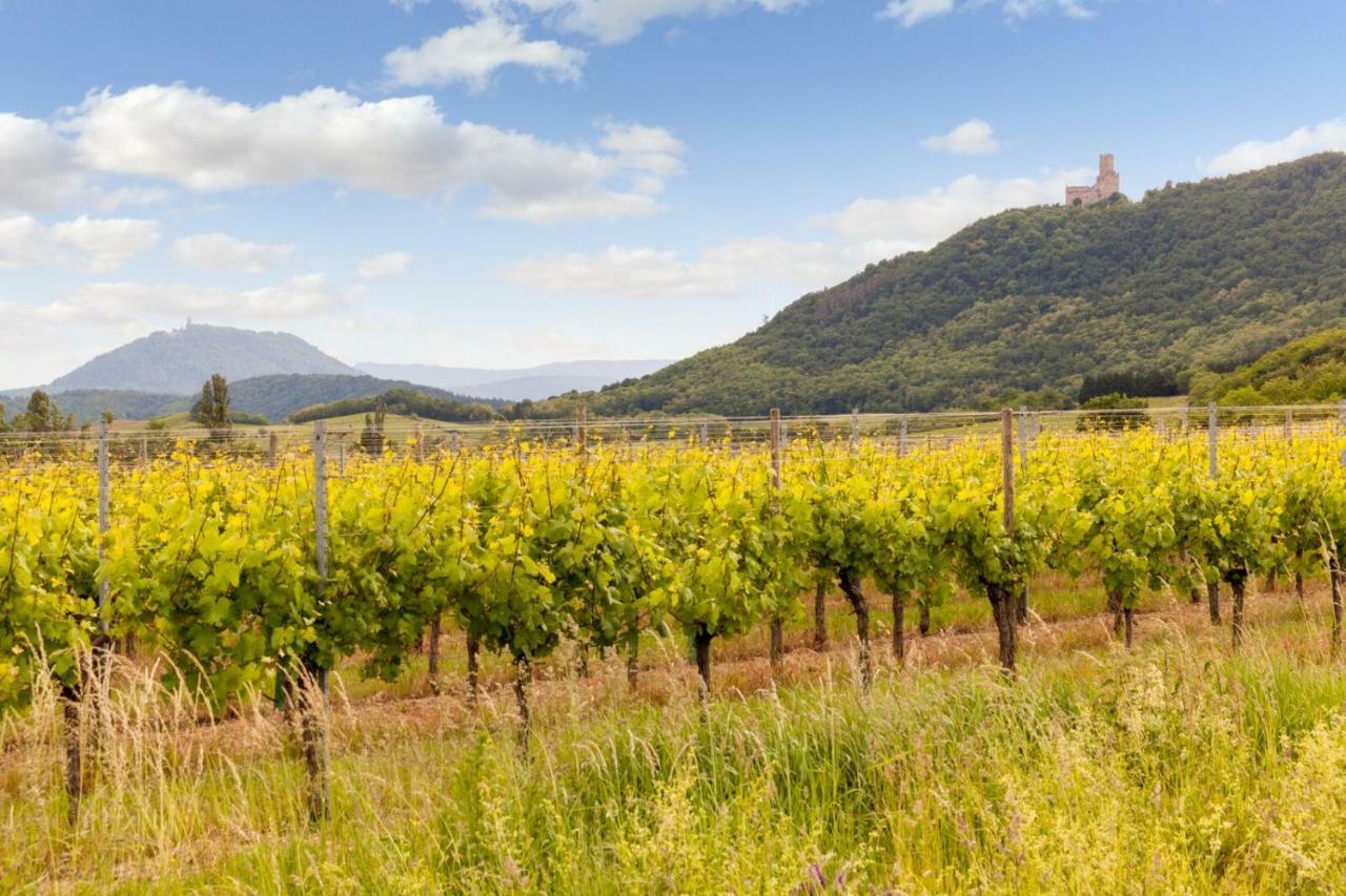 Hotel Restaurant Verger Des Chateaux, Route Des Vins Haut-Koenigsbourg Dieffenthal Ngoại thất bức ảnh